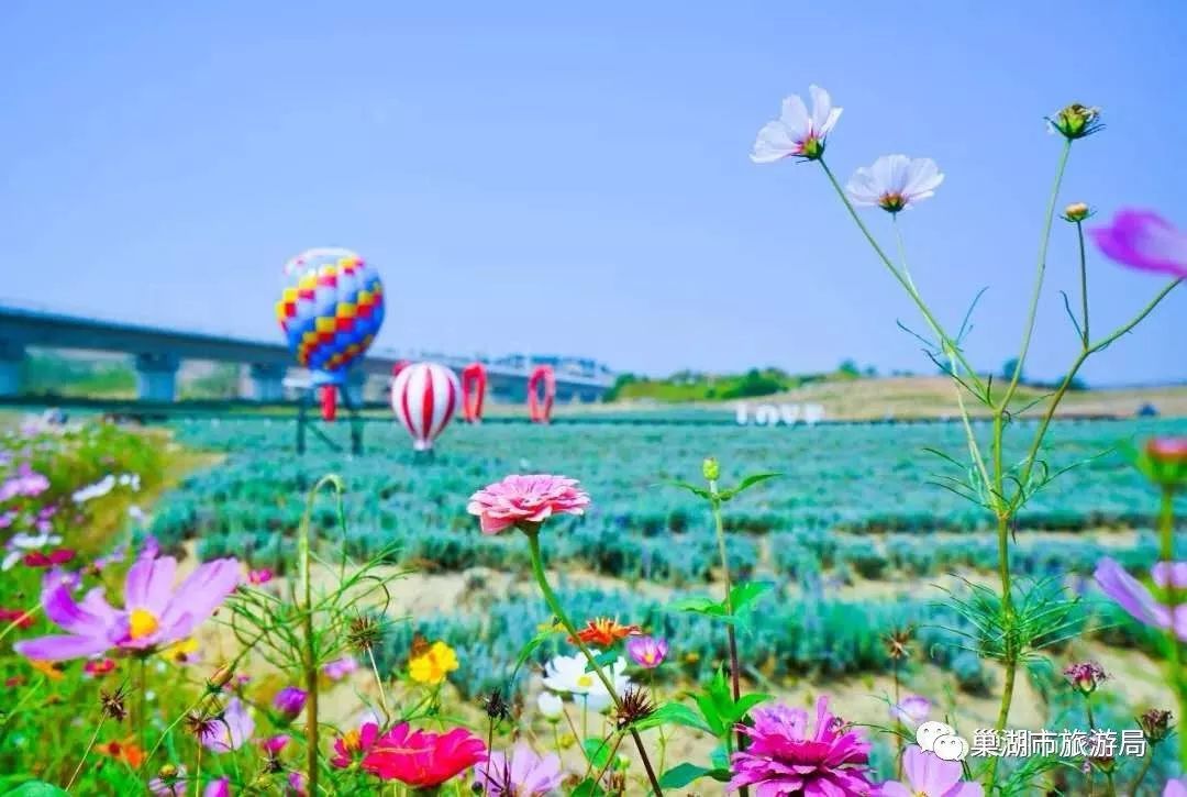 2023年7月我司為巢湖尖山園提供語音導覽系統!