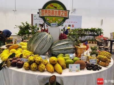 2025年2月,鷹米團(tuán)隊(duì)講解器如何讓世界熱帶水果之窗