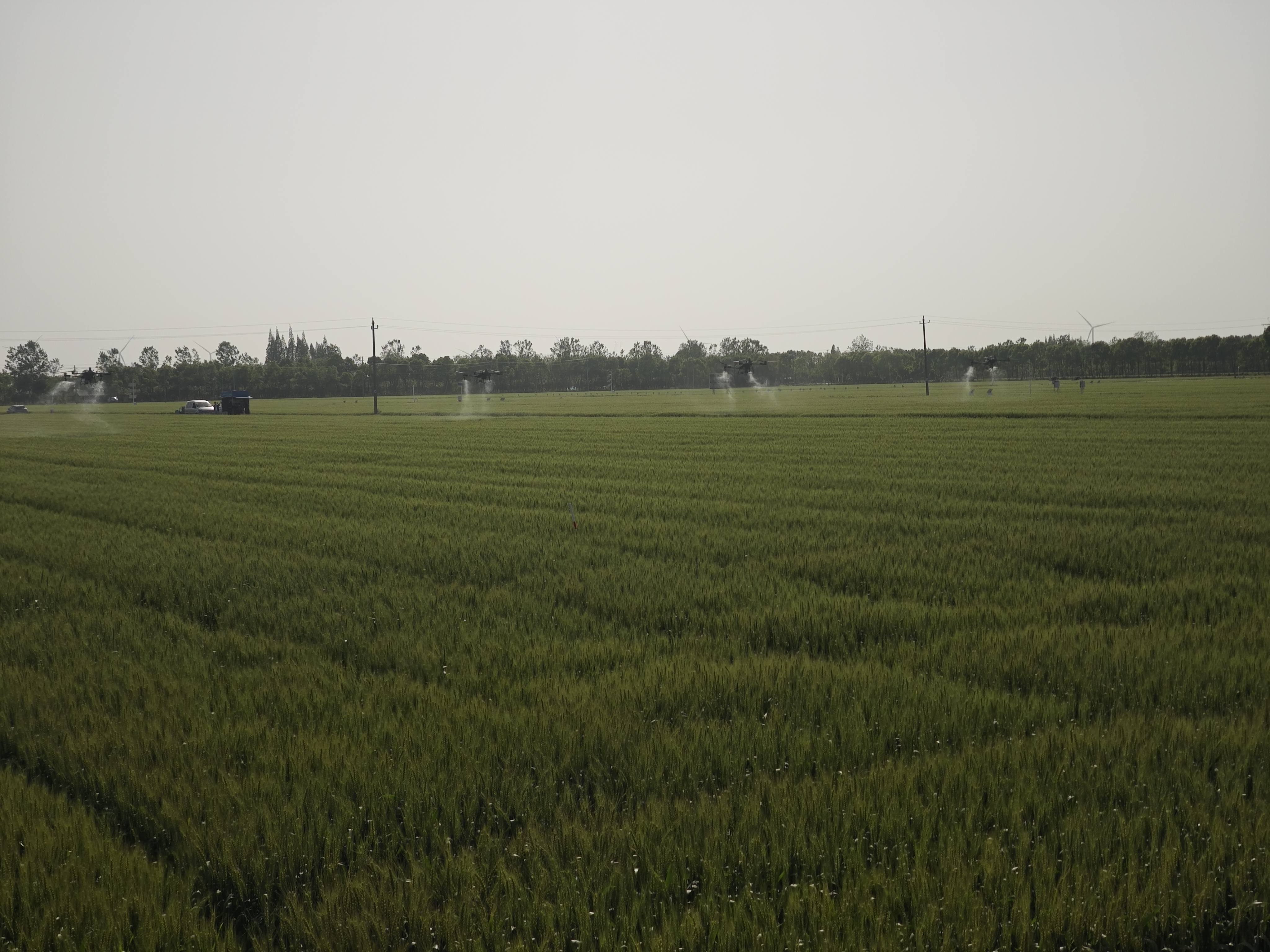 2025年4月九成畈農場用鷹米無線講解器重塑現代農業參觀體驗